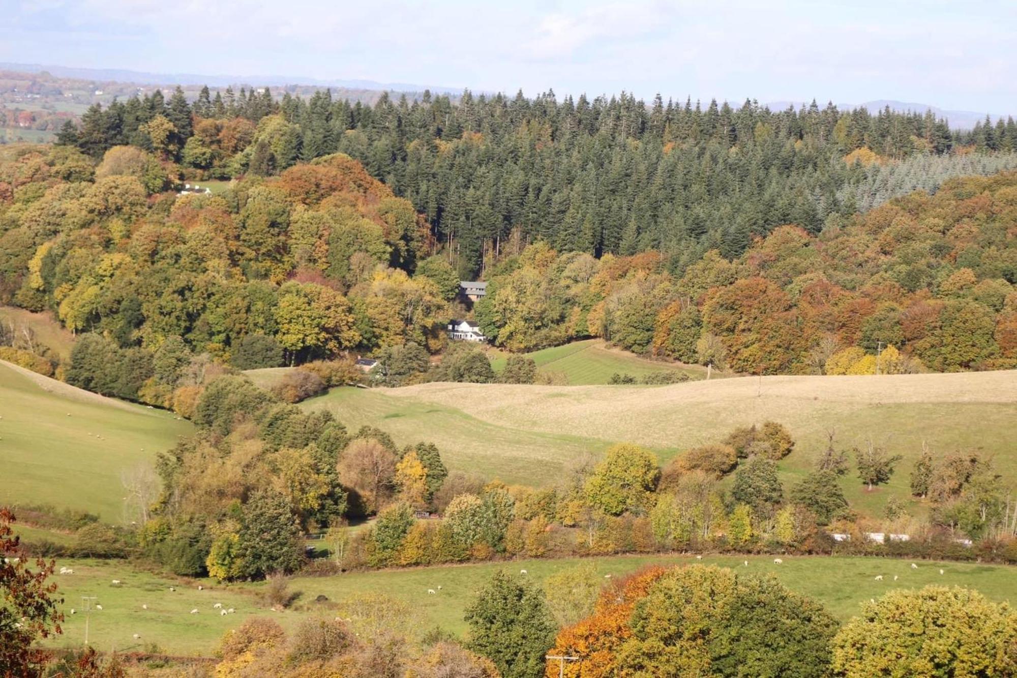 Cosy Cabins Without Hot Tub - Greenway Farm, Drybrook, Forest Of Dean Exterior foto